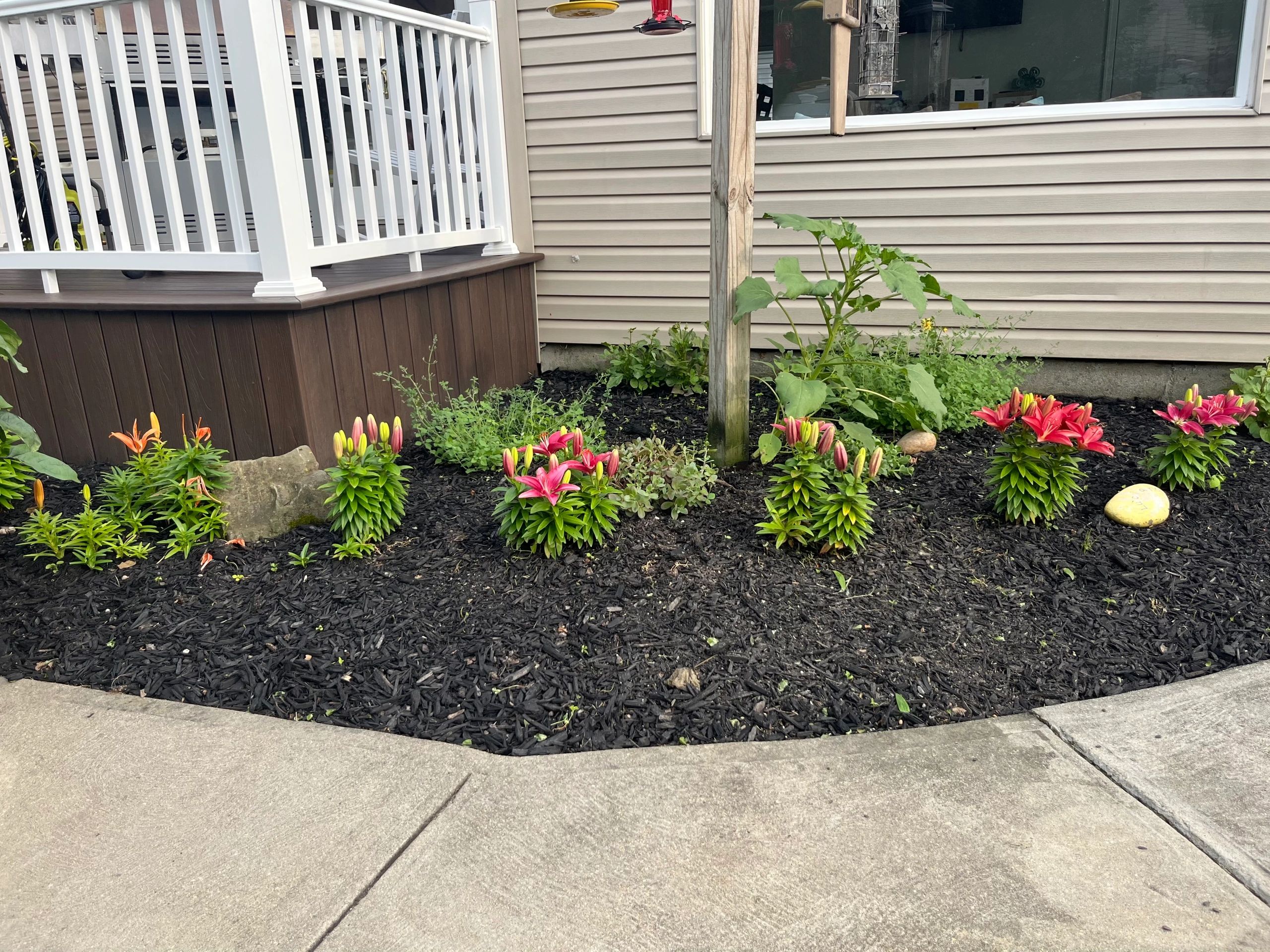 Landscaped garden bed